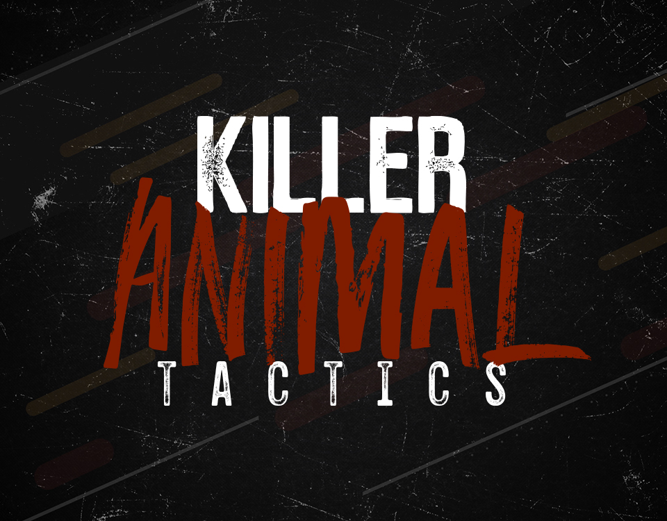 Killer Animal Tactics